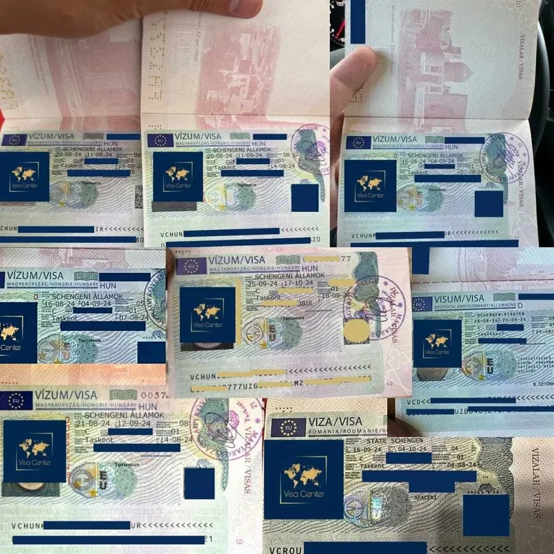 Очередь в посольства быстрая запись/Visa navbat tez ro‘yxatdan o‘tish — фото 1