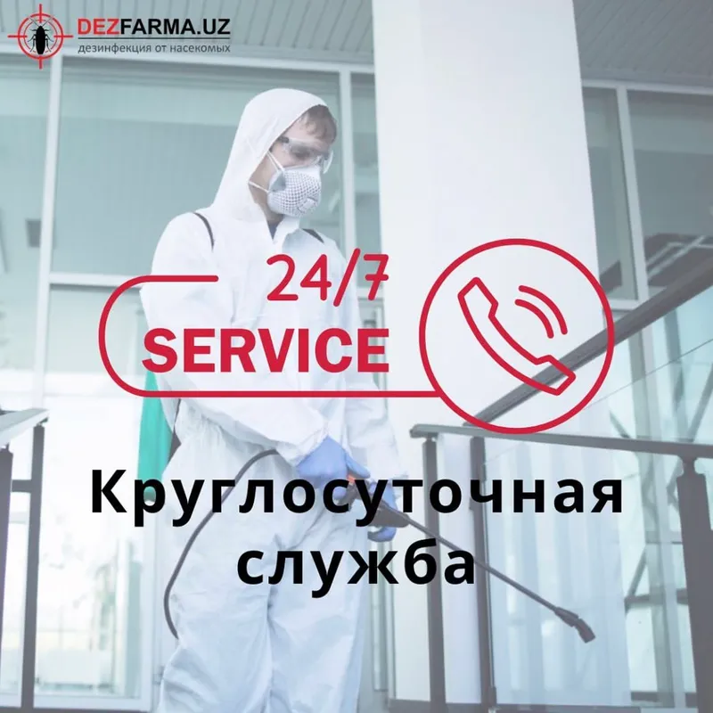 Дезинфекция Дизинфекция Дизенфекция Дезенфекция
