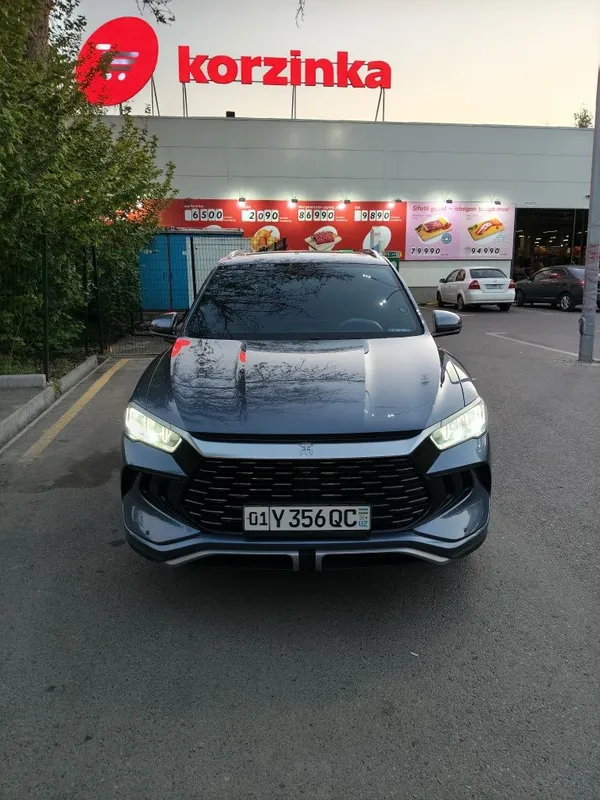 BYD Song Pro hybrid 110км