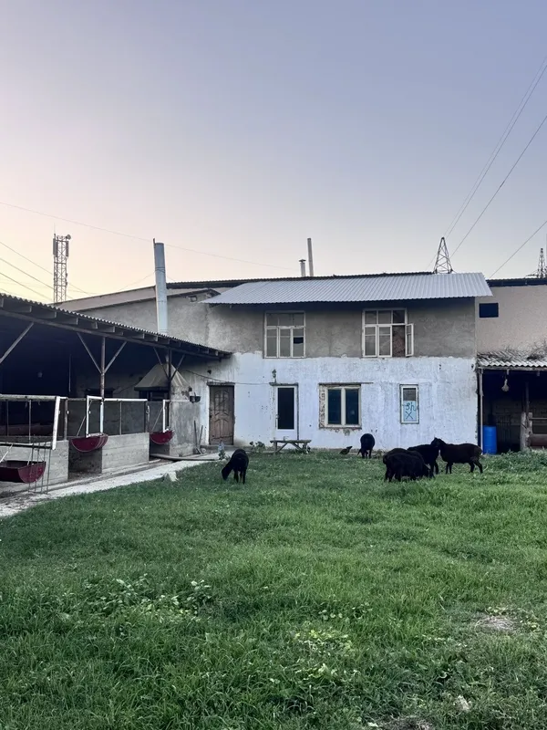10 700 y.e sotigi narxini kelishamiz kami bor — фото 5