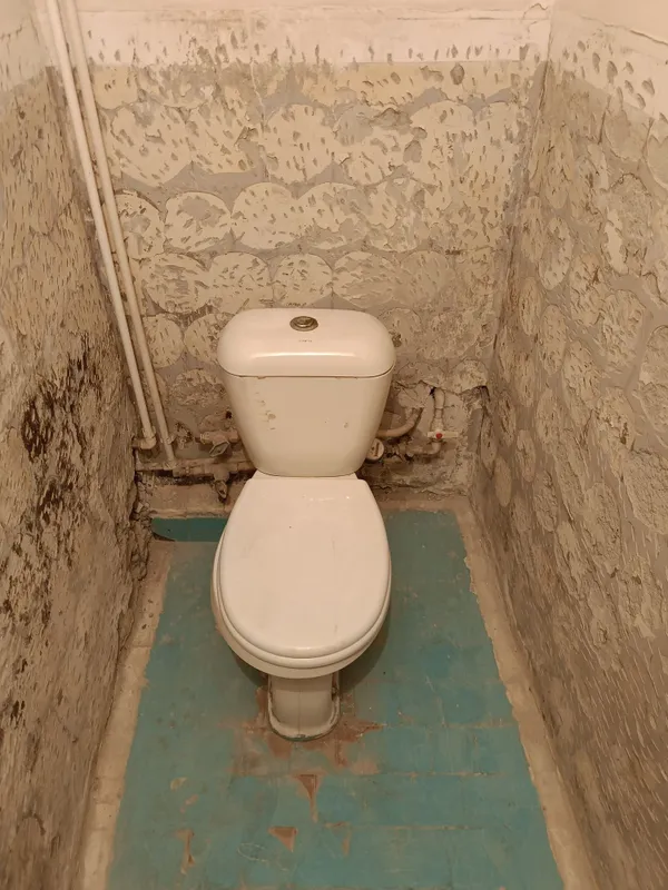 Отдам даром