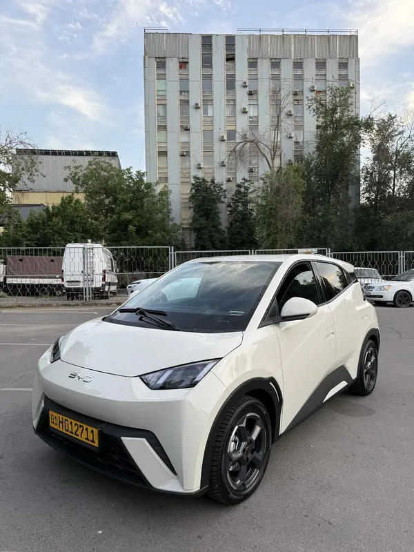 BYD seagull 2024 full