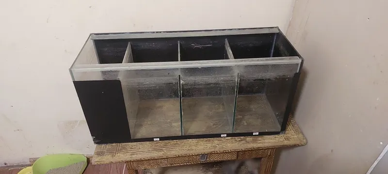 Vitrinali va oddiy akvarium 2 Vitrinali va oddiy akvarium 2