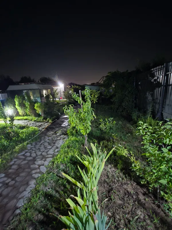 Dacha sotaman 5