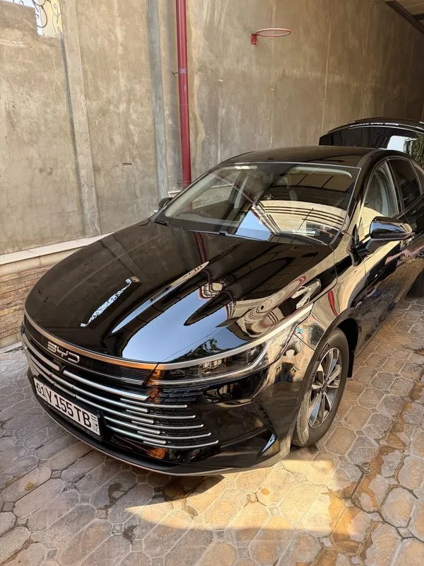 Byd chazor 55 2024 Аренда 5