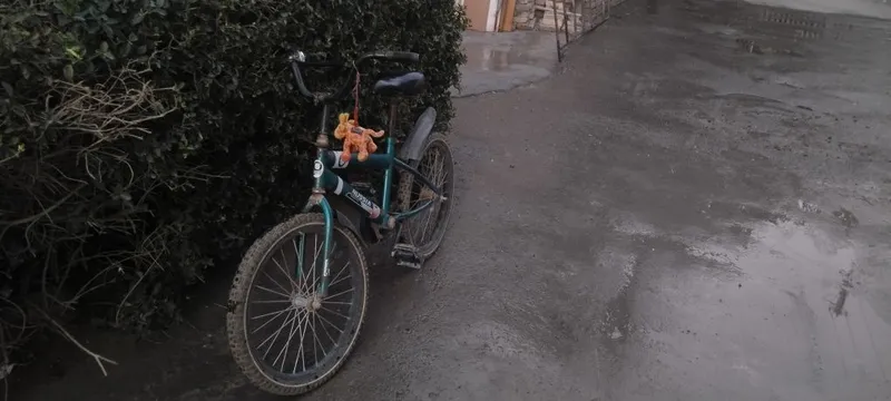 Велик зелёный БМВ