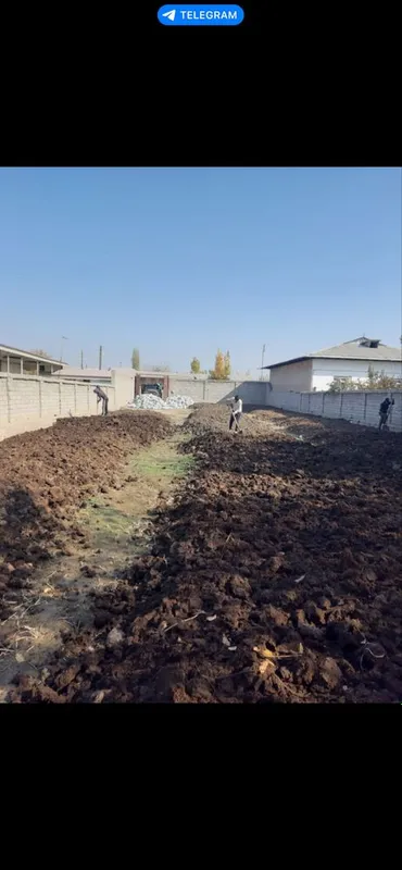 Biogumus barcha turdagi o’simliklar uchun tabiy og’it — фото 3