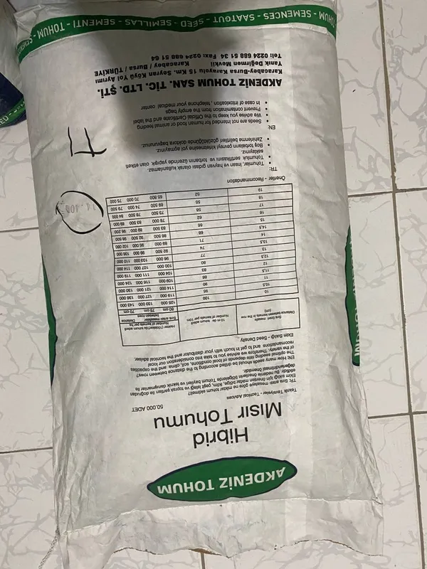 Jo'xori urug' makka urug'i макка жухори — фото 2