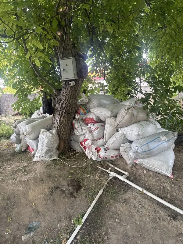 biogums tashkent — фото 1