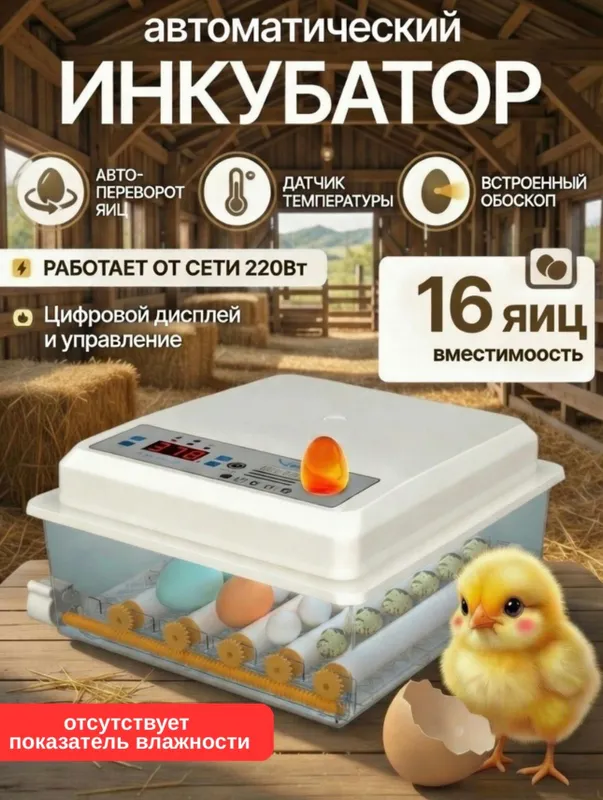 Inkubator