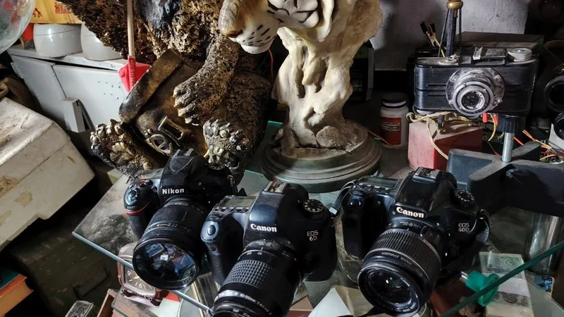 Canon 6D в хорошем состоянии 5 Canon 6D в хорошем состоянии 5