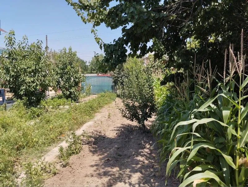 Продается Дача, Паркент -Нилюфар 4 Продается Дача, Паркент -Нилюфар 4