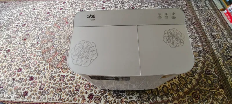 Artel