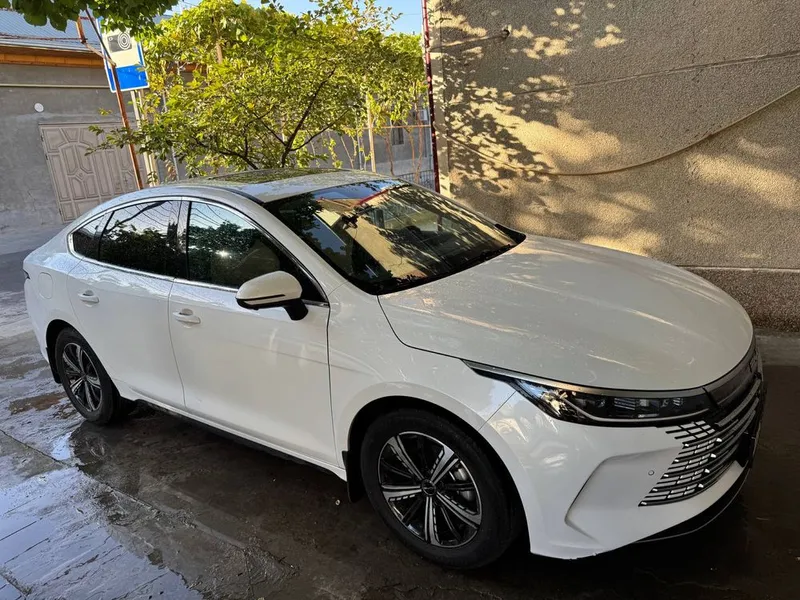 Byd Chazor full 2023 — фото 1