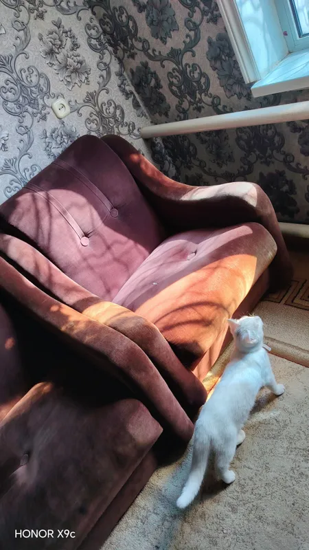 Отлично срстоятельно — фото 2 Отлично срстоятельно — фото 2