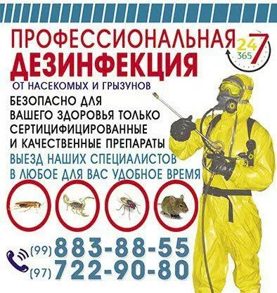 дезинфекция таракан клапа пашша чаён — фото 4 дезинфекция таракан клапа пашша чаён — фото 4