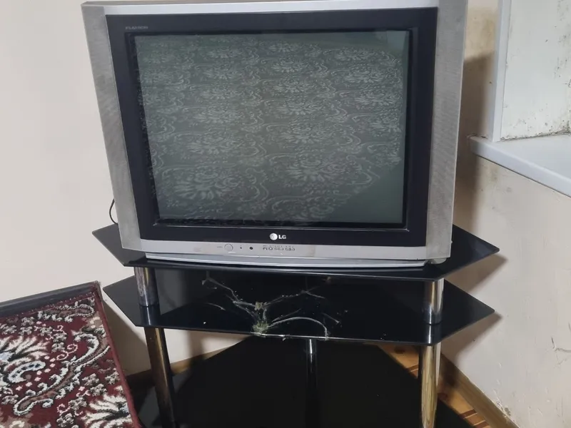 Telivizor pasidakiai bilan sotiladi