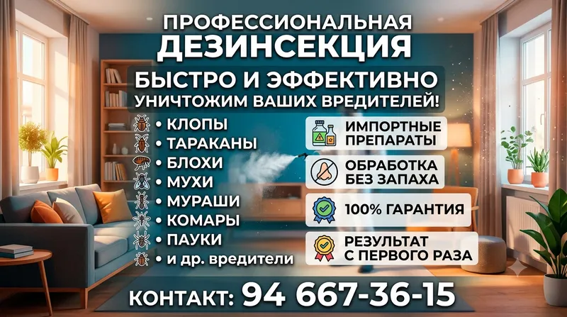 Дезинсекция, дезинфекция. Dizinfeksiya klopa klapa