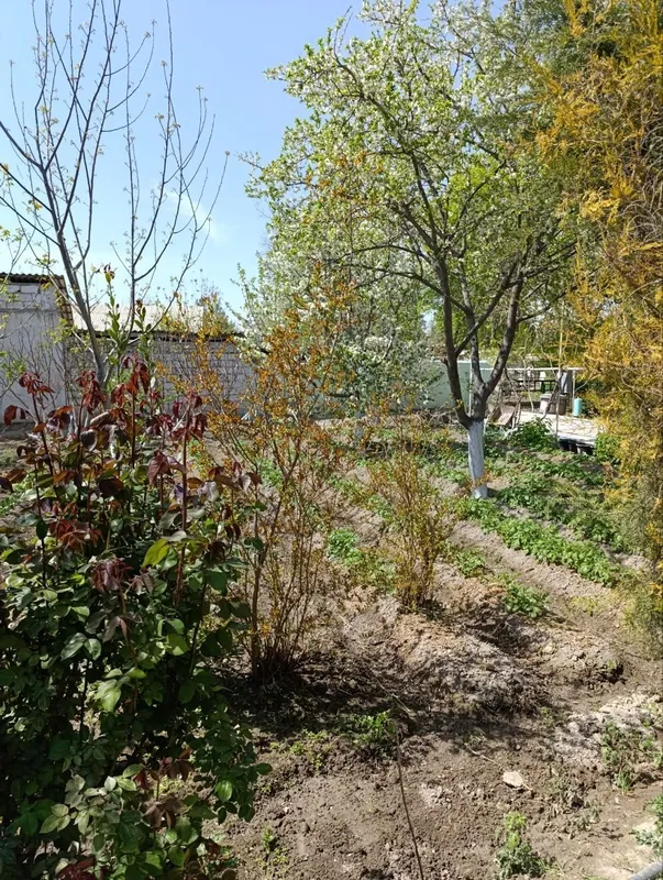 Продаю дом.в старом городе — фото 1