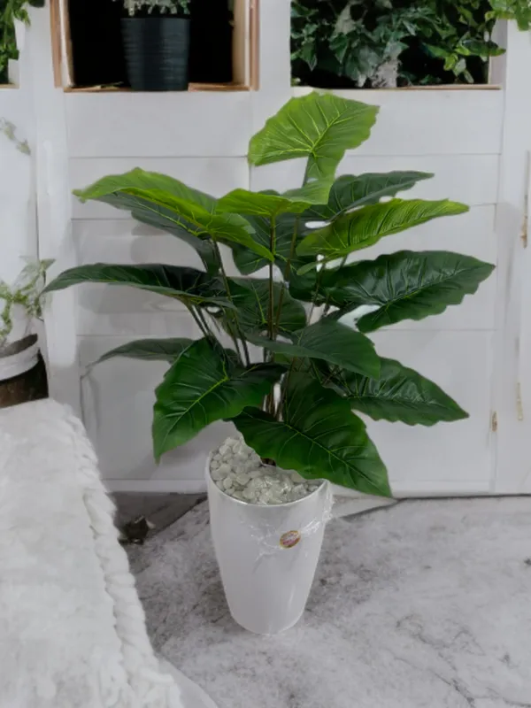 Tuvakli sun'iy gul (Alocasia) 90 Sm uzunlikda