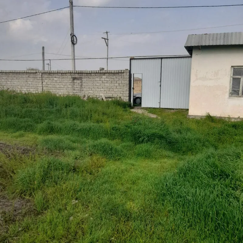 В городе Сырдарья продаётся участок 12 соток 1 В городе Сырдарья продаётся участок 12 соток 1