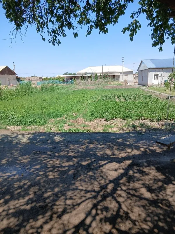Беговотда Жой урни сотилади — фото 3