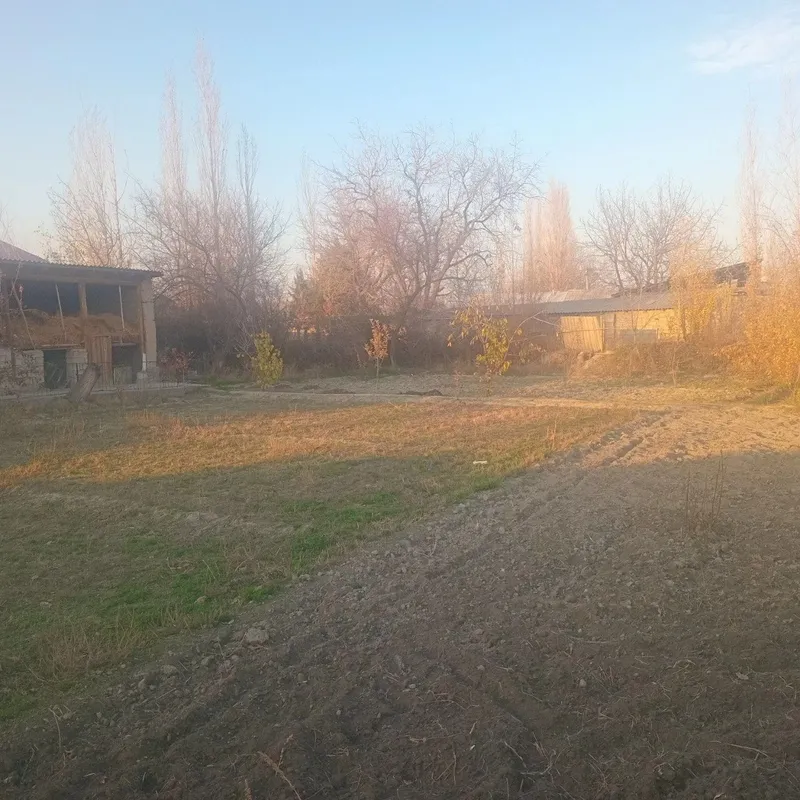 Jomboy tumani Zarafshon mahallasida Hovli sotiladi Jomboy tumani