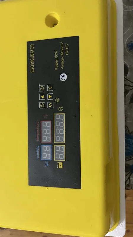 Inkubator 36 tuxum uchun 2