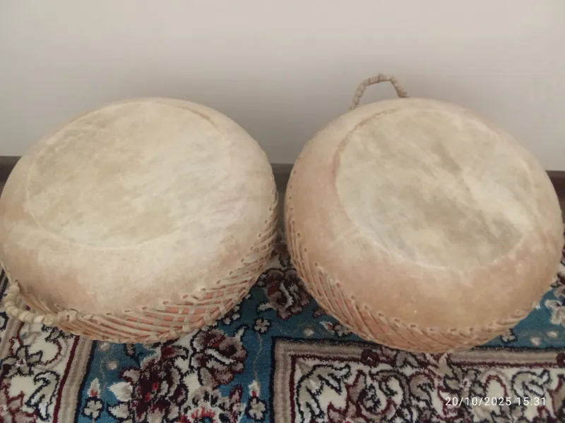 nogʻoralar 1 nogʻoralar 1