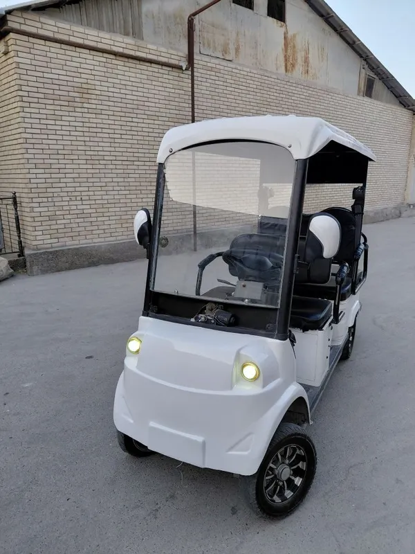 Golf car 2pazitsiya