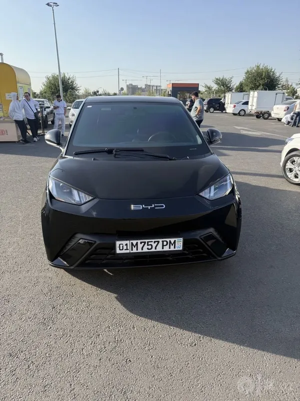 Byd seagull 2024 2 Byd seagull 2024 2