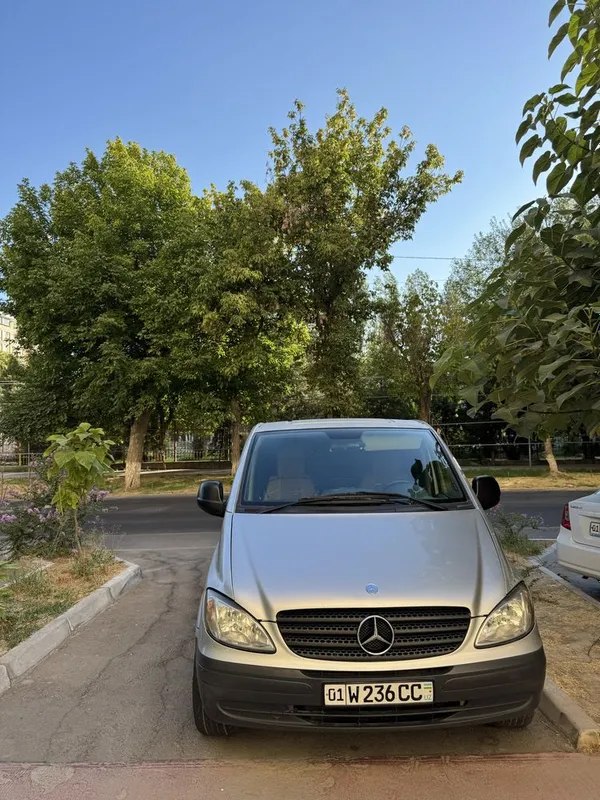 Moshina Mercedes Vito — фото 3