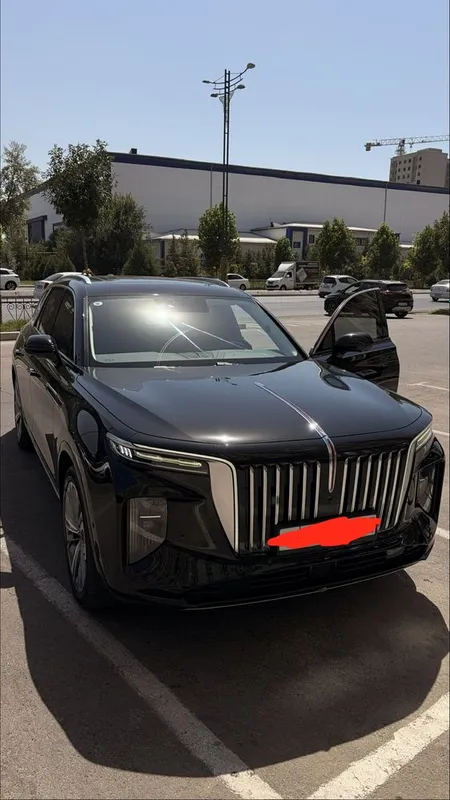 Hongqi ehs-9 электро 1 Hongqi ehs-9 электро 1