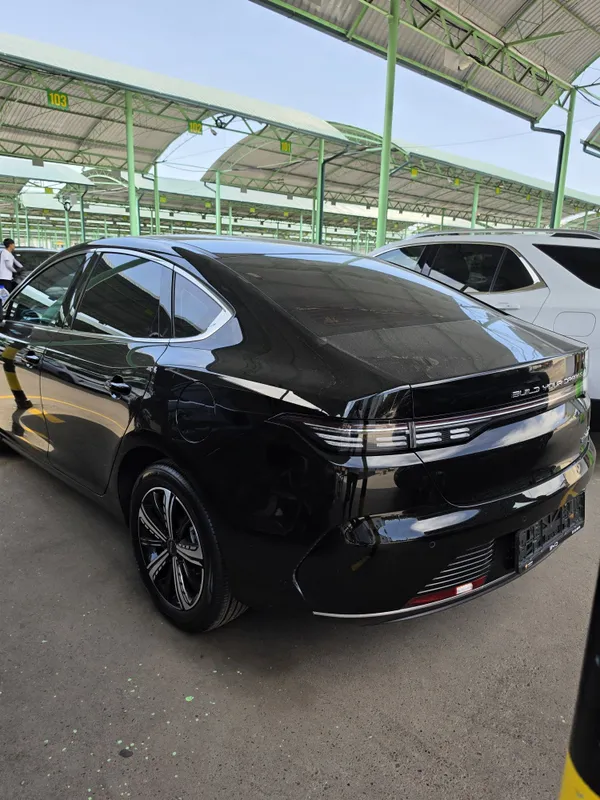 BYD Chazor 3 позиция 120 талик — фото 2