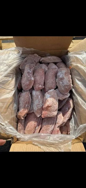 Урдак терисиз оптом