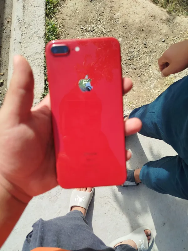 iphone 8 + holqti edial 77 yomkis — фото 4