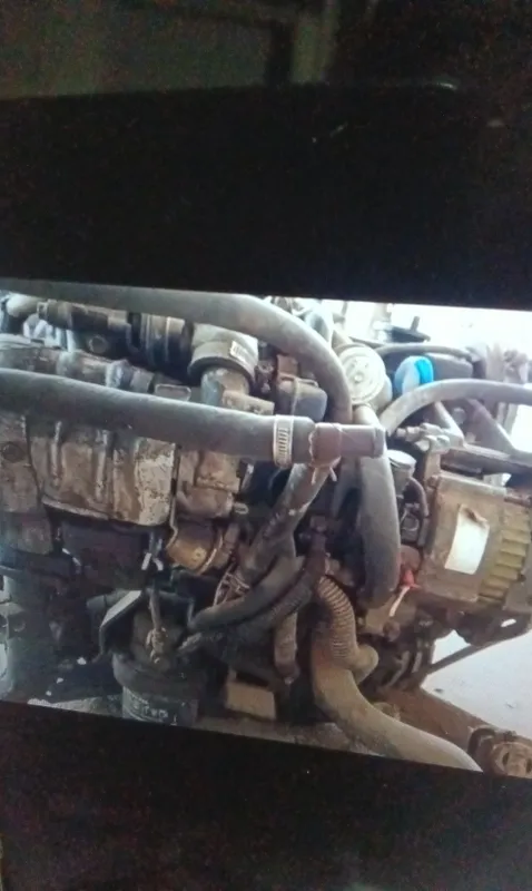 Rf mator soz holatda karopkasi hbilan — фото 2