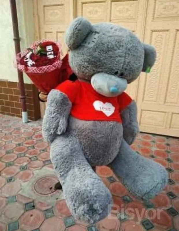 Mishka teddy мишка Тедди