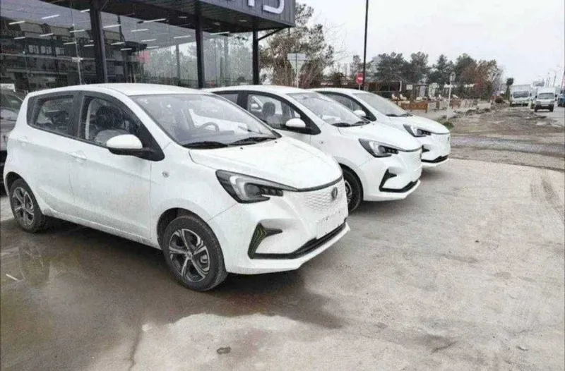 Changan ben ben halol nasiya 3 Changan ben ben halol nasiya 3