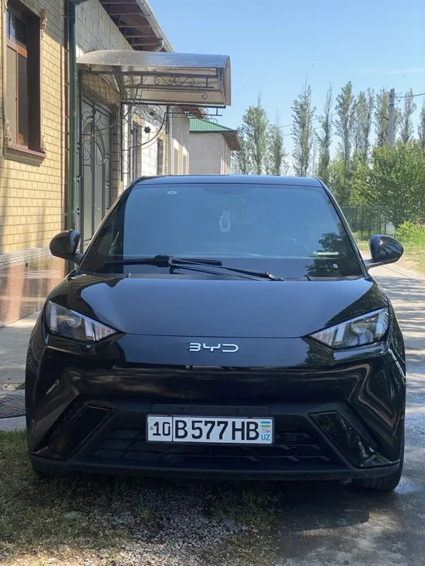BYD seagull 305 km