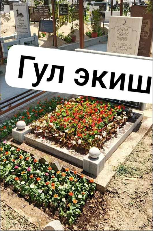 Qabristonga gul ekish 3 Qabristonga gul ekish 3