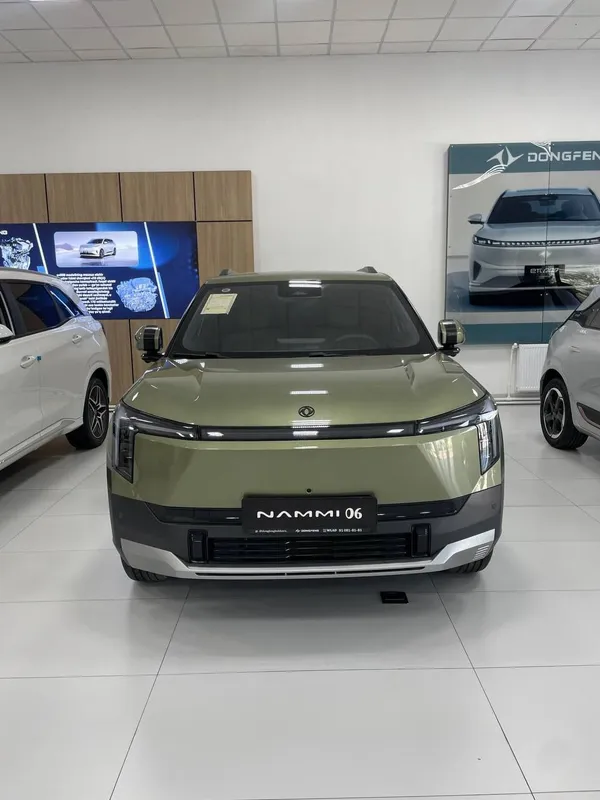 Nammi 06 electromobil 1