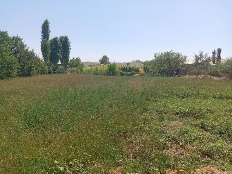 Srochna Yer Sotiladi: 12 sotix yer 6 sotixdan bolib ham beriladi, — фото 2