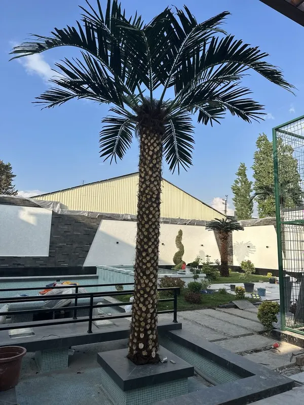 Buxoro | Katta sun’iy palma 3m–8m — kafolat + servis! -20%