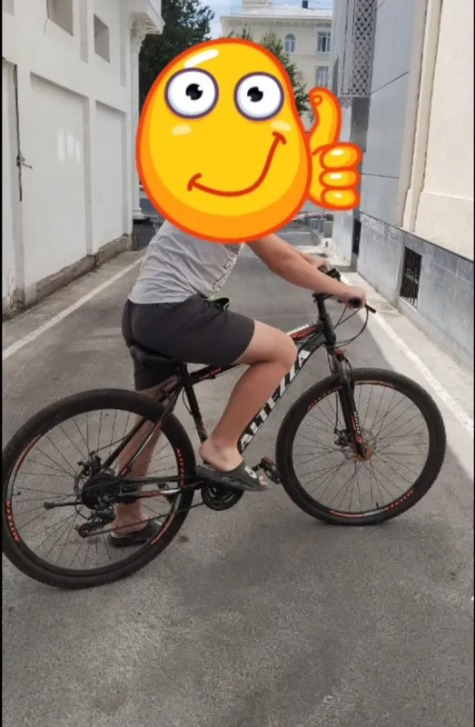 Velosiped 1 Velosiped 1