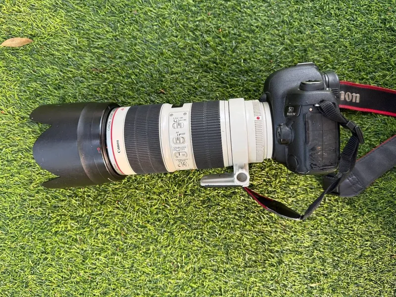 Canon mark 4 EF 70-200mm f2.8 komplekt sotiladi 1 Canon mark 4 EF 70-200mm f2.8 komplekt sotiladi 1