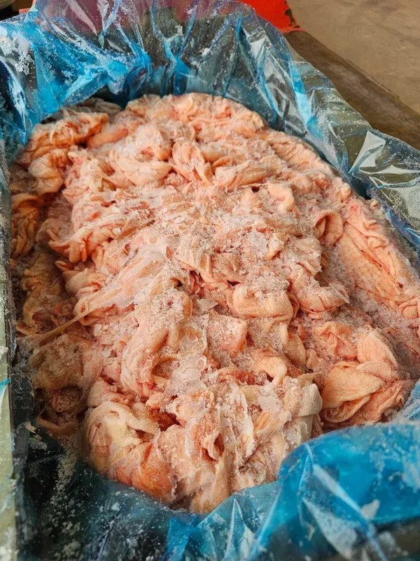Кожа малая с грудки замороженная (шкура, terisi) — фото 2 Кожа малая с грудки замороженная (шкура, terisi) — фото 2