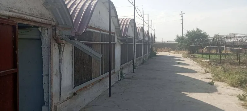 Yangi ozbekistonda 10 gektar yer sotiladi — фото 2