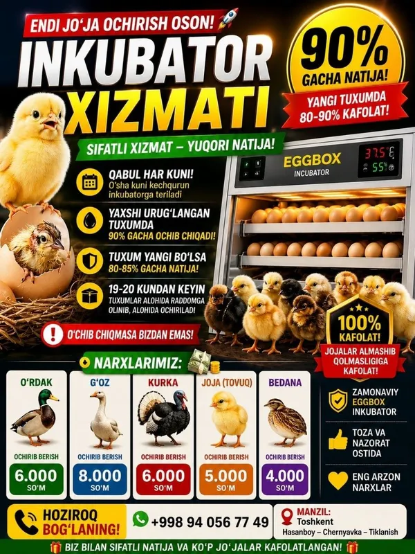 Inkubator Xizmati