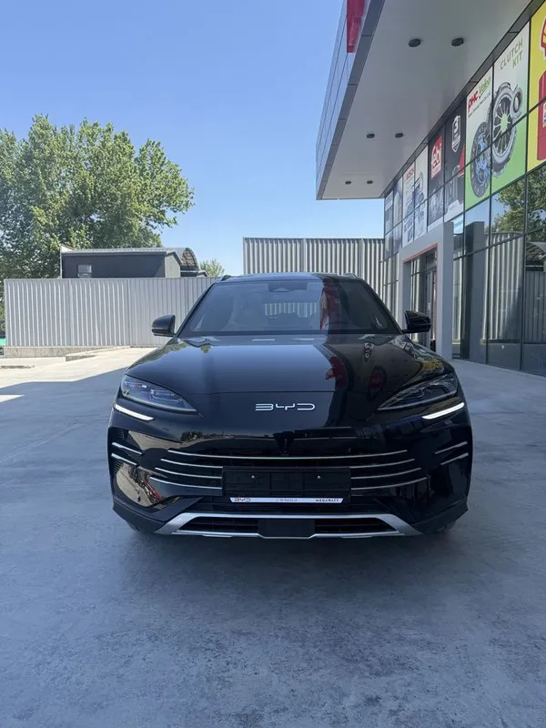 byd champion все цвета 2026 год 1 byd champion все цвета 2026 год 1